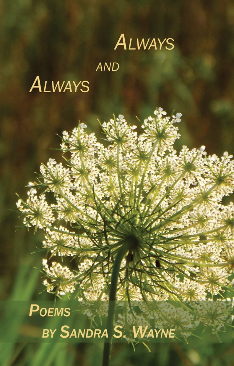 alwaysandalwayscover